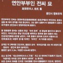 연안부부인전씨묘 | 용인시 기흥 마북동 연안부부인 전씨 묘 사진 모음