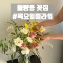 [10/24]플라워 클래스-화병 꽂이 | 청주 꽃다발 율량동 꽃집 추천 원데이클래스 후기 #목요일플라워