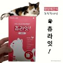 펫원 - 여주시 세종로 461 | 맛있는 건강 간식, 츄라잇 고양이츄르 영양제 체험기