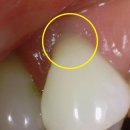 서울동서남북치과의원 이미지