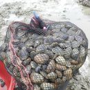 대합우체국 이미지