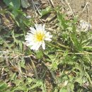 고하농장 이미지