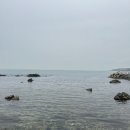 남나리전복 | 부산 기장 전복 맛집 “남나리전복”