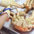 기장총각대게 이미지