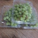 늘푸른청과 이미지