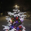 골안민박 이미지