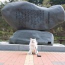 울산 남구 신정3동 행정복지센터 이미지