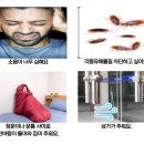 (주)문 | 주알보 현관문틈새막이 문풍지로 여름철 벌레차단준비 끝