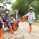 삼시세끼 이미지