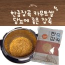 황금잡곡 | 당뇨에 좋은 잡곡 고소함+식감 다 잡은 튀르키예 호라산밀 한줌잡곡 후기