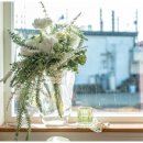 제주달로와 이미지