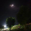 아미사 | 아미사 부처님 오신날 행사