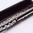 플룻 (B)? 이미지