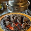 마포갈매기 이미지