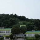 궁촌분교 네이버블로그