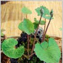 계양아트갤러리 이미지