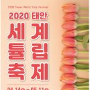 태안나비 이미지