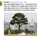 문소개웬 : 포크레인 사용해서 심는 나무를... 흰바지에 삽질? 이미지