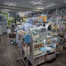 몽몽이 애견미용 이미지