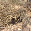 보금자리모텔 이미지