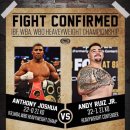 안강JU복싱클럽 이미지