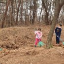 관당초등학교 이미지