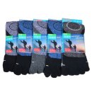 신사-113 이미지