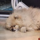 까페모먼트 이미지