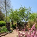 팜카밀레 이미지