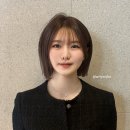 해리헤어 네이버블로그