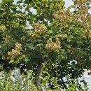 이정훈내과의원 이미지