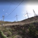 다들바위 치유농장 이미지