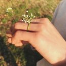 영진아파트 앞 2 이미지