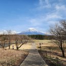 고원목장(2) 이미지