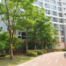 판교원로 이미지