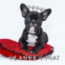 고려유학원 이미지