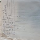 이식후 10일차 혈구변화 이미지
