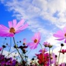 신정문약국 이미지