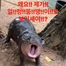 CU 대치예영점 | [10월 일상] 백수끝! 고생시작!