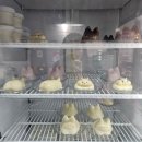 구삼커피 | 대구 중구 구삼커피 강아지 푸딩이 있는 카페 내돈내산 후기
