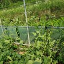 평산농원 이미지