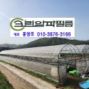 크린에이스 이미지