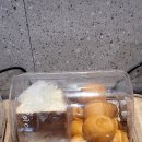 멤버스모텔 이미지