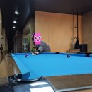 김성관 당구클럽 이미지