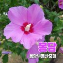 41590-01-01-15 네이버블로그