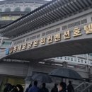 동해역길 | ​[해랑 9편] 동해호텔 황태해장국부터 천곡황금박쥐동굴 탐험, 그리고 화려한 소고기 파티로 마무리!