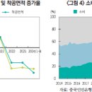 중국의 소비 부진 배경 및 정책적 대응 이미지