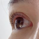 이뽐뷰티 배곧본점 | 배곧속눈썹펌 이뽐뷰티 배곧본점 이용 제대로 만족한 후기