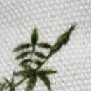 당신내과의원 이미지