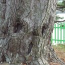 수산리-14 이미지